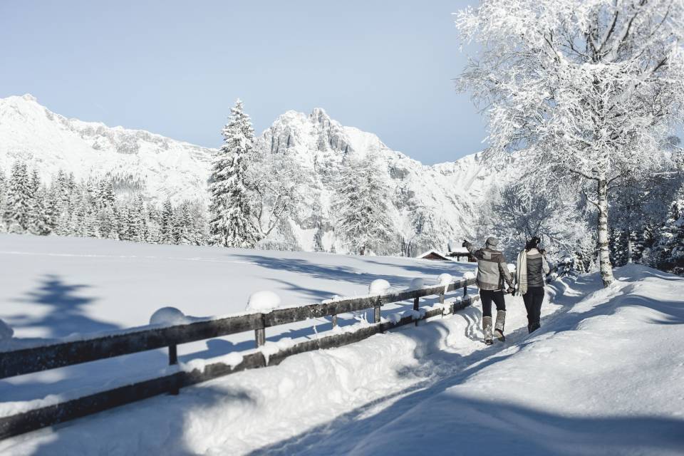 Winter & snow-shoe hikes - Alpenresort Schwarz
